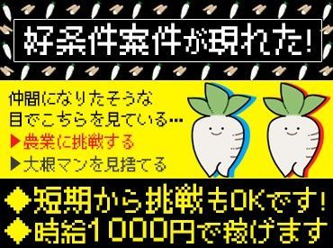 job image