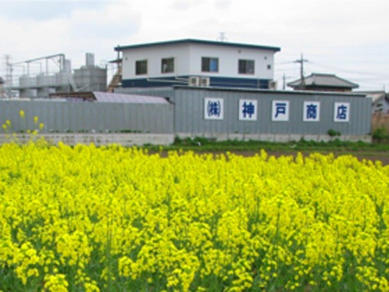 job image