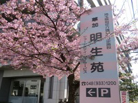 job image