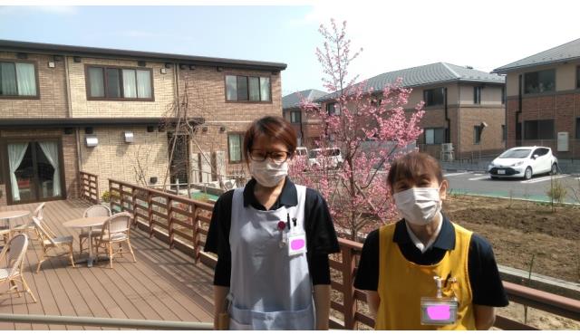 job image
